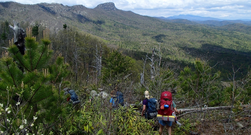 A group of students wearing backpacks hike away from the camera through a green mountainous landscape.